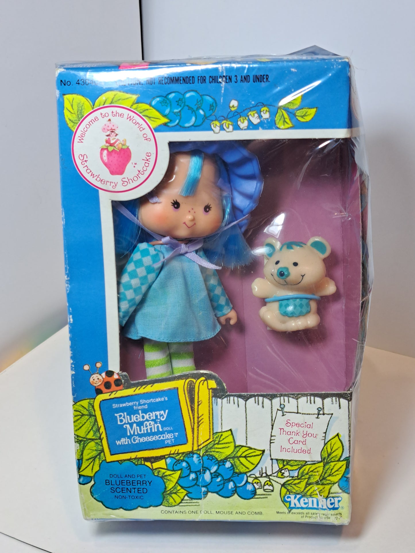Anita Morita Blueberry Muffin 1982 Mattel