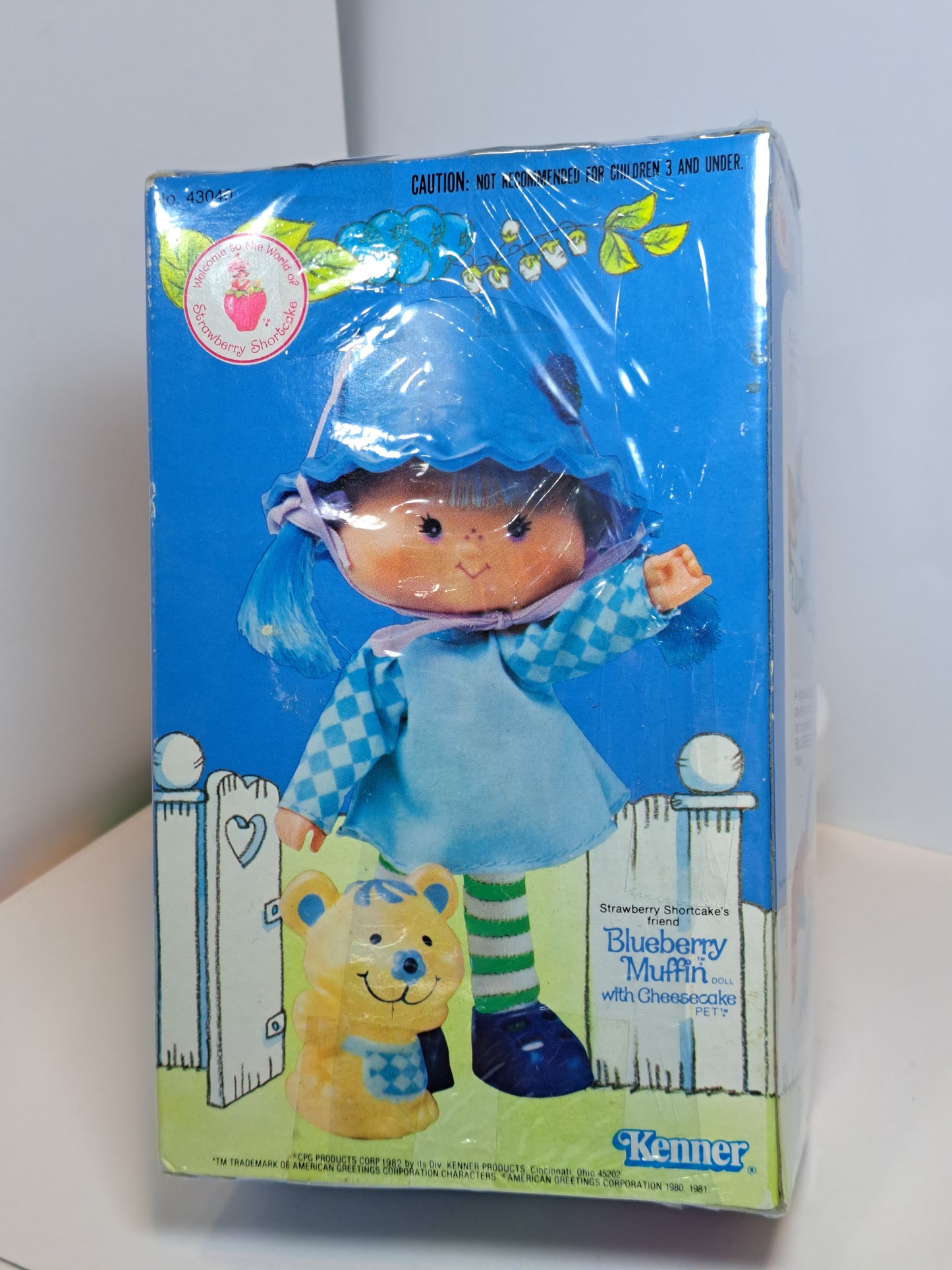Anita Morita Blueberry Muffin 1982 Mattel